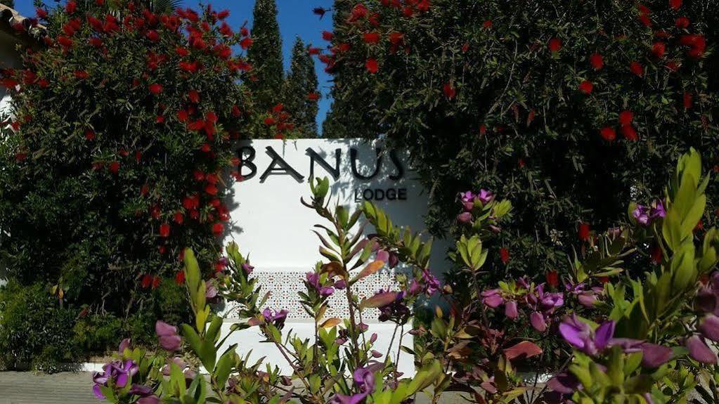 Banus Lodge Marbella Luaran gambar