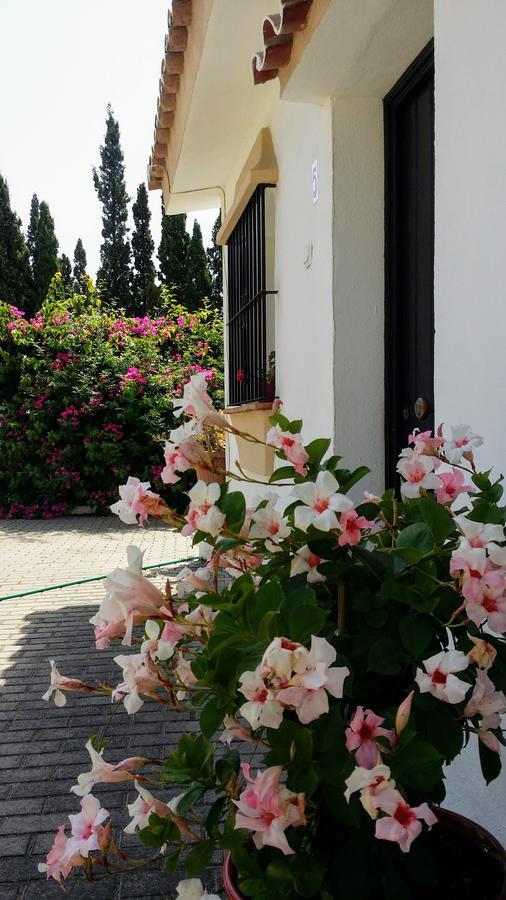 Banus Lodge Marbella Luaran gambar